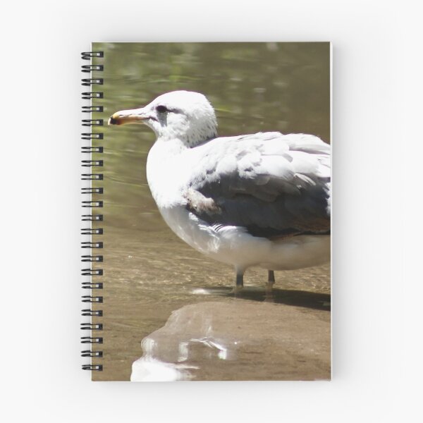 Item preview, California Seagull Wading Through Pond designed and sold by WilesNailsPower.