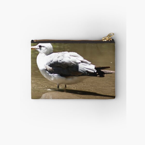 Item preview, California Seagull Wading Through Pond designed and sold by WilesNailsPower.