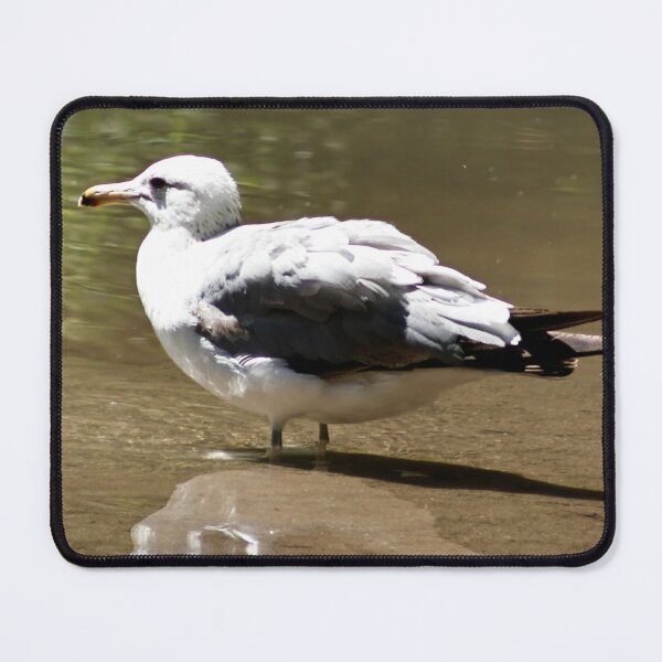 Item preview, California Seagull Wading Through Pond designed and sold by WilesNailsPower.