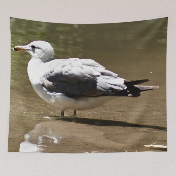 Item preview, California Seagull Wading Through Pond designed and sold by WilesNailsPower.