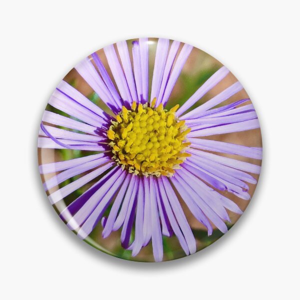 Aperçu de l'œuvre Fleurs sauvages de l'arrière-pays créée et vendue par Likoca Photography.
