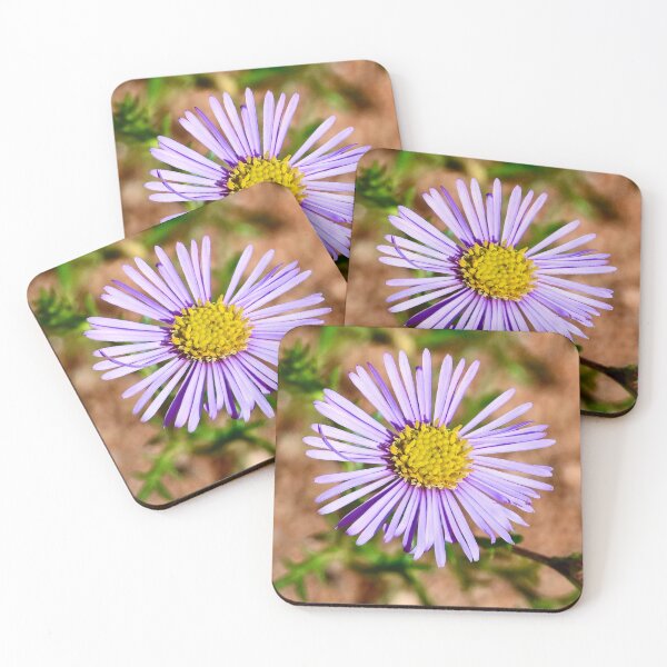 Item preview, Outback Wildflower designed and sold by Likoca Photography.