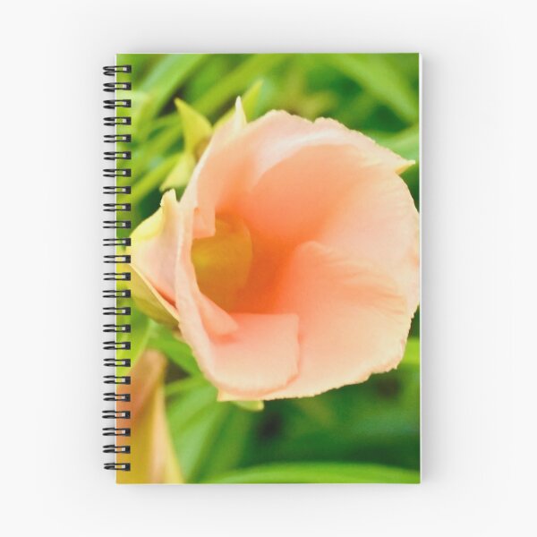 Item preview, Peach Bloom Coloured Flower designed and sold by Likoca Photography.