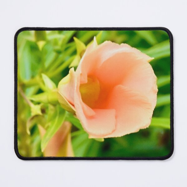 Item preview, Peach Bloom Coloured Flower designed and sold by Likoca Photography.