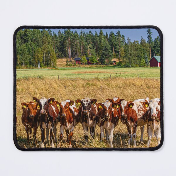 Item preview, Cows in a Sunny Field designed and sold by Veikko Suikkanen.