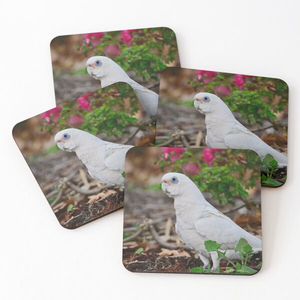 Item preview, Little Corella designed and sold by Likoca Photography.