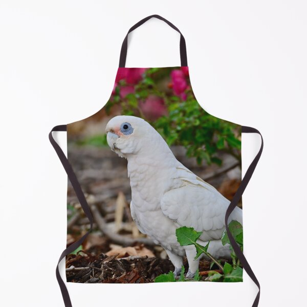 Item preview, Little Corella designed and sold by Likoca Photography.