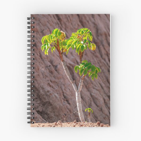 Item preview, Lone Tree Resilience Red Desert Jujuy designed and sold by Keltoi-art.