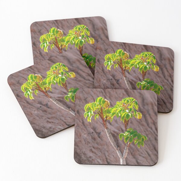Item preview, Lone Tree Resilience Red Desert Jujuy designed and sold by Keltoi-art.