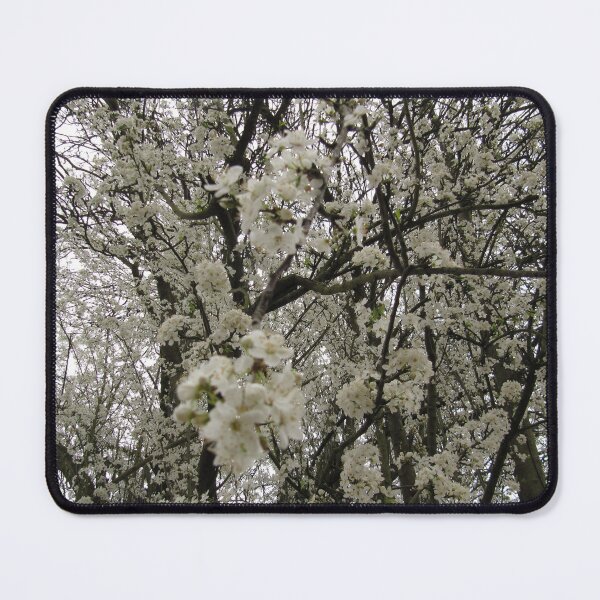 Item preview, Oxford white designed and sold by Pai Lokli.