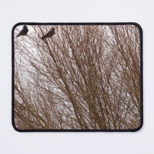 Item preview, Oxford Birds designed and sold by Pai Lokli.
