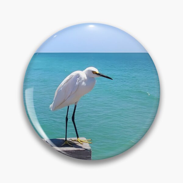 Item preview, Egret, original photo designed and sold by Flaunting Florida.