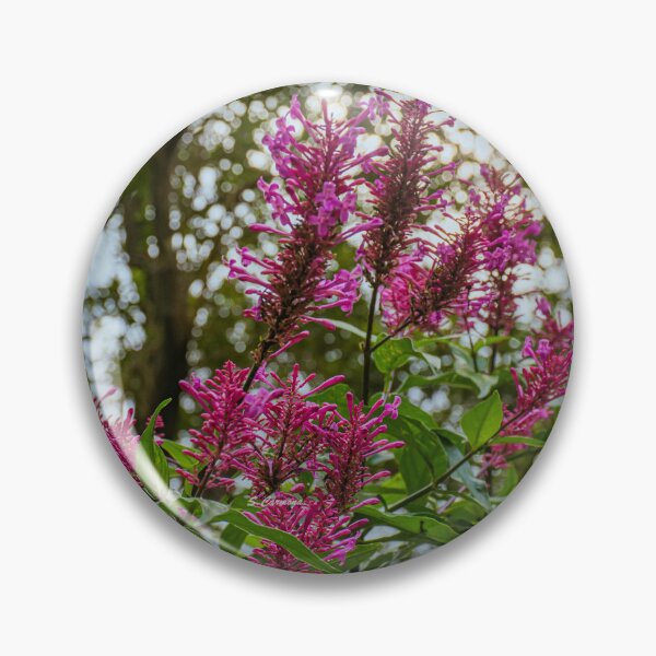 Item preview, Vibrant Magenta Wildflowers in Forest Light Art designed and sold by AuraInkSC.
