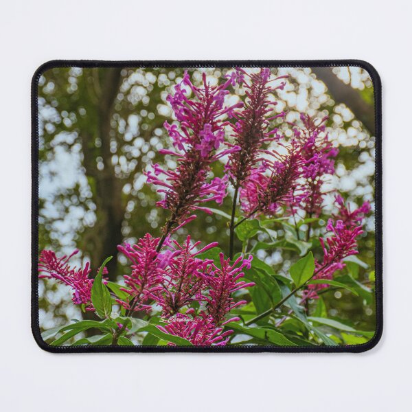 Item preview, Vibrant Magenta Wildflowers in Forest Light Art designed and sold by AuraInkSC.
