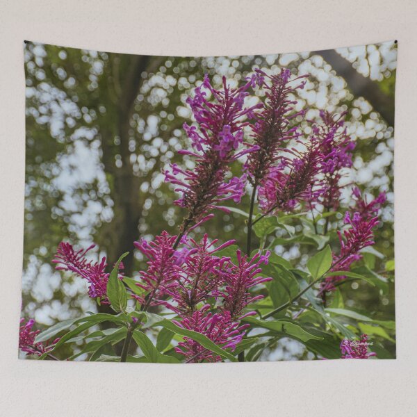 Item preview, Vibrant Magenta Wildflowers in Forest Light Art designed and sold by AuraInkSC.