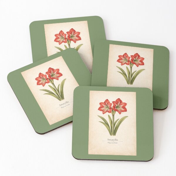 Item preview, Botanical Amaryllis – Hippeastrum | Vintage Christmas Flower Illustration designed and sold by Novel Works Studio.