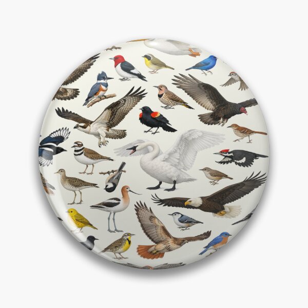 Item preview, Native Birds of South Dakota Retro Identification Chart designed and sold by kakarikihill.