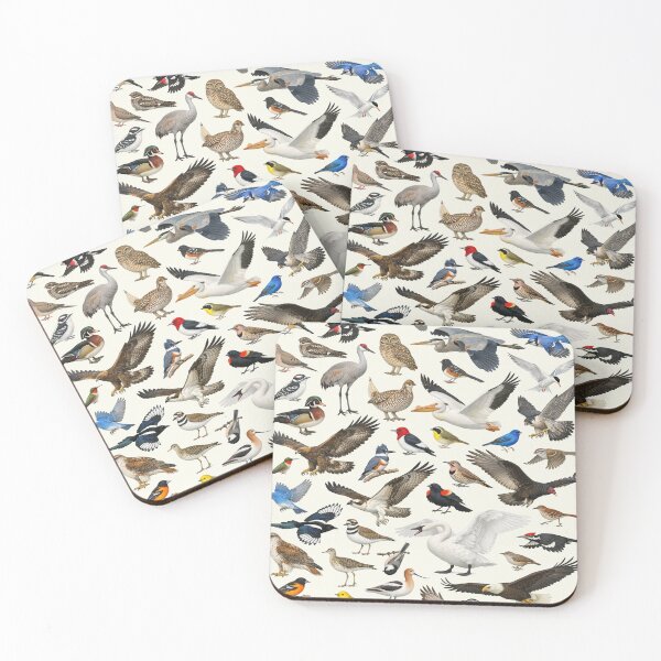 Item preview, Native Birds of South Dakota Retro Identification Chart designed and sold by kakarikihill.