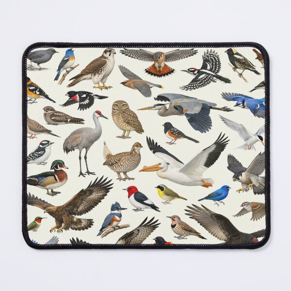 Item preview, Native Birds of South Dakota Retro Identification Chart designed and sold by kakarikihill.