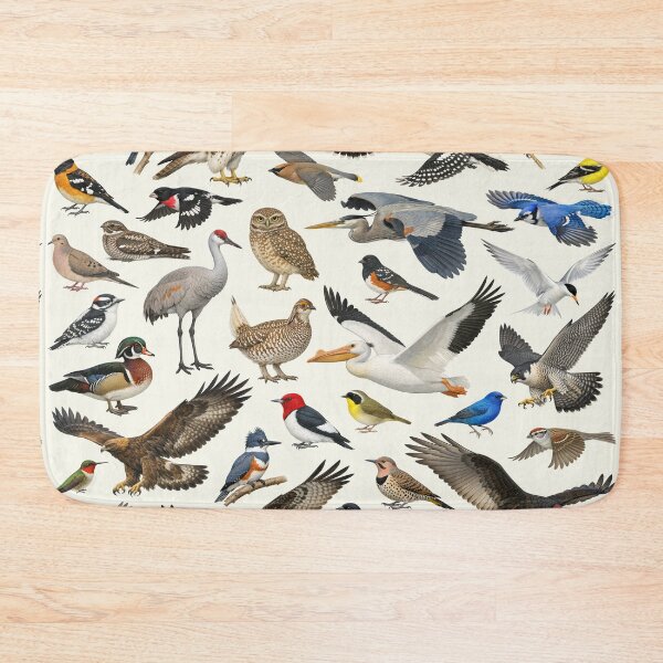 Item preview, Native Birds of South Dakota Retro Identification Chart designed and sold by kakarikihill.