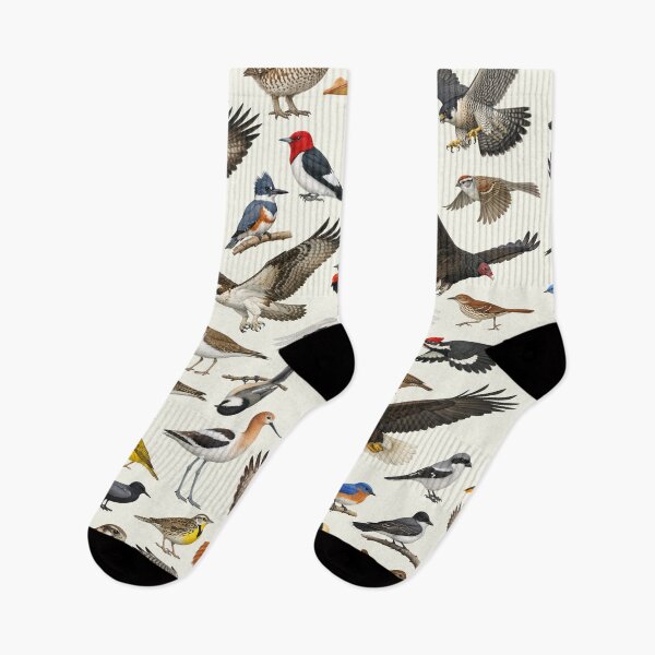 Item preview, Native Birds of South Dakota Retro Identification Chart designed and sold by kakarikihill.