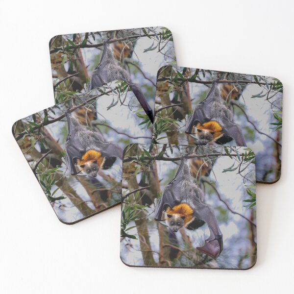 Item preview, Bat (grey headed flying fox). designed and sold by FallenTrickster.