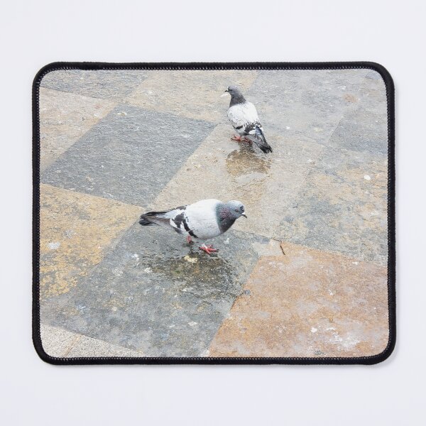 Item preview, A Couple of Pigeons designed and sold by 719Cr8ters.