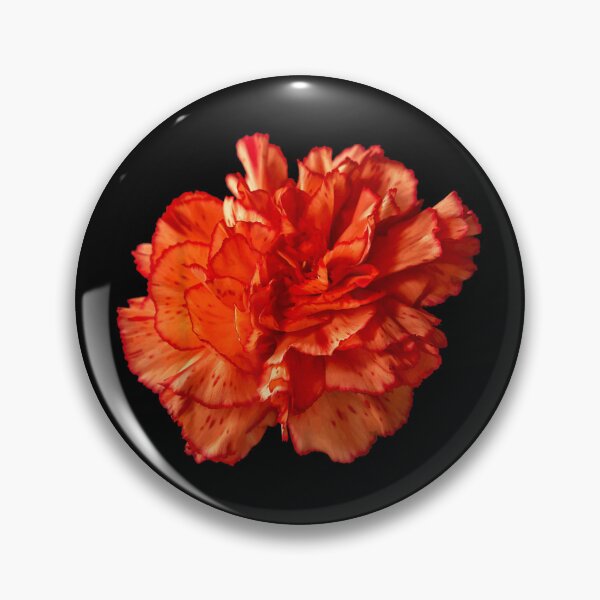 Item preview, Carnations Beautiful Red designed and sold by goombi-creative.