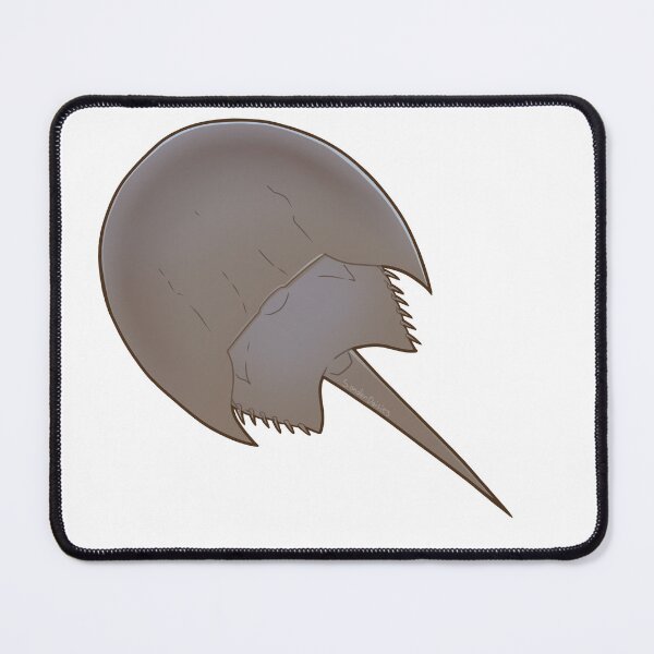 Item preview, Horseshoe Crab designed and sold by Sonderdaisies.