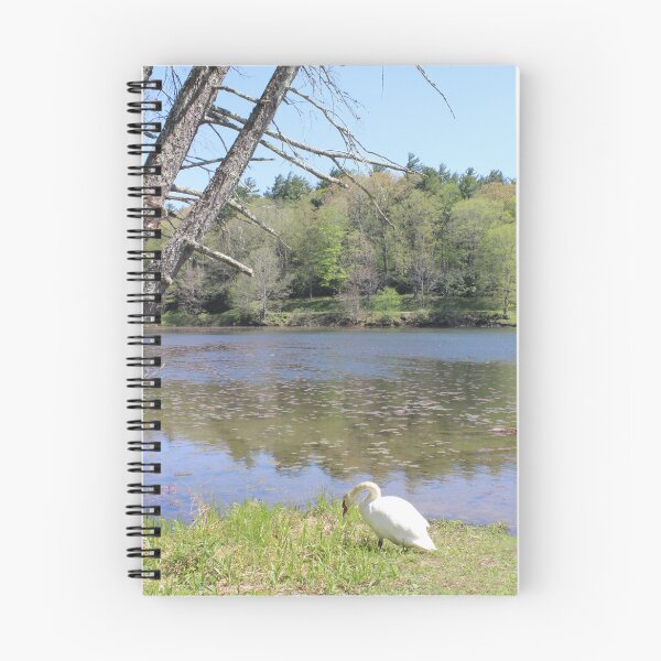 Item preview, Elegant Swan by Lakeside designed and sold by amusefullife.