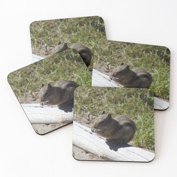 Item preview, Rocky Mountain National Park Chipmunk designed and sold by DuvalTiger.