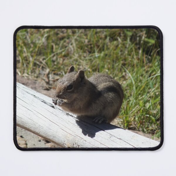 Item preview, Rocky Mountain National Park Chipmunk designed and sold by DuvalTiger.