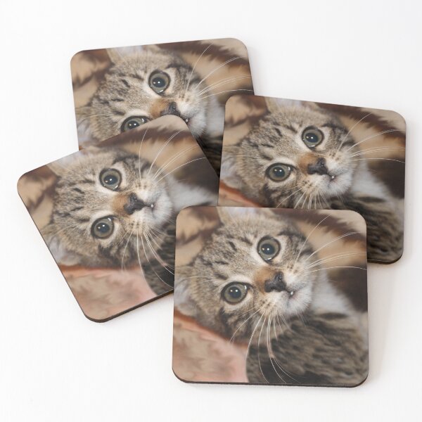 Item preview, Baby Loki Tabby Kitten Portrait designed and sold by amusefullife.