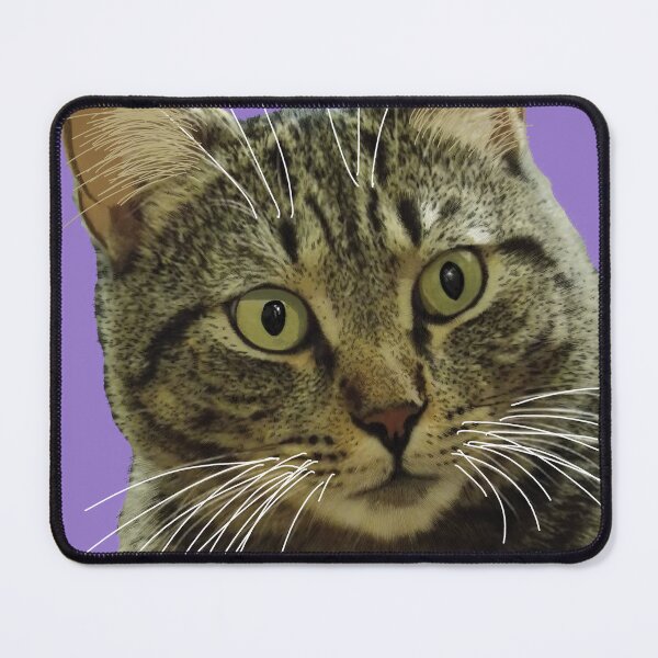 Item preview, TABBIES are FUN & funny fuzzy Cats ! designed and sold by StudioTanoshiiNeko.