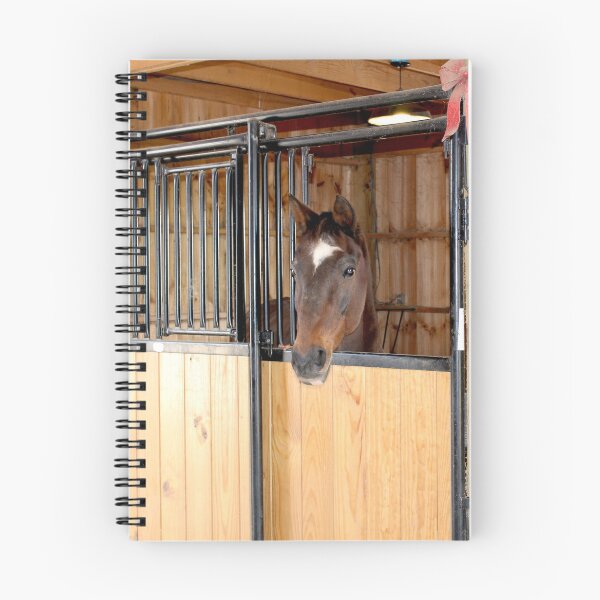 Item preview, Chestnut Horse at Stable Door designed and sold by amusefullife.