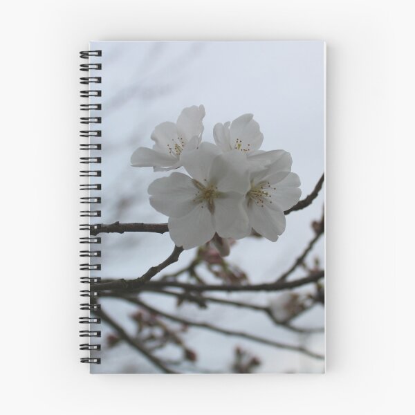 Item preview, Early Spring Cherry Blossom Blooms designed and sold by amusefullife.