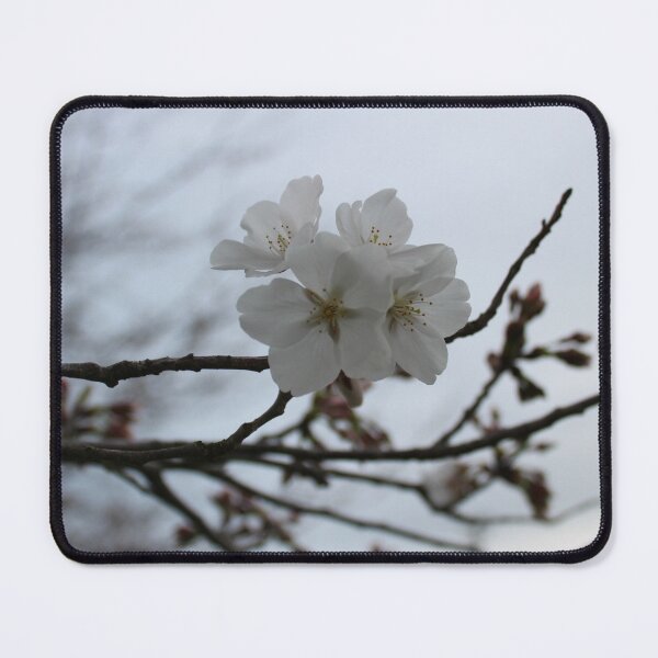 Item preview, Early Spring Cherry Blossom Blooms designed and sold by amusefullife.
