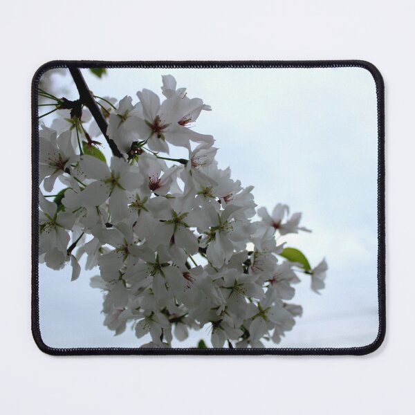 Item preview, Soft White Flowering Branch designed and sold by amusefullife.