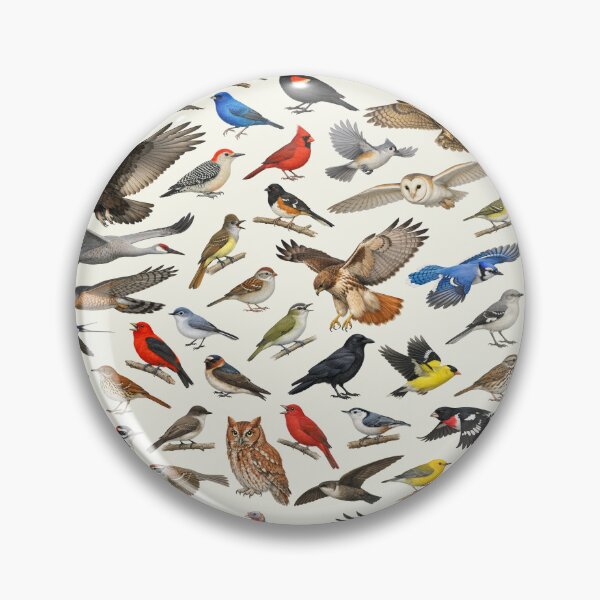 Item preview, Native Birds of Tennessee  Retro Identification Chart designed and sold by kakarikihill.