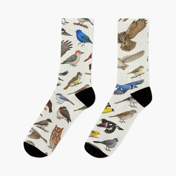 Item preview, Native Birds of Tennessee  Retro Identification Chart designed and sold by kakarikihill.