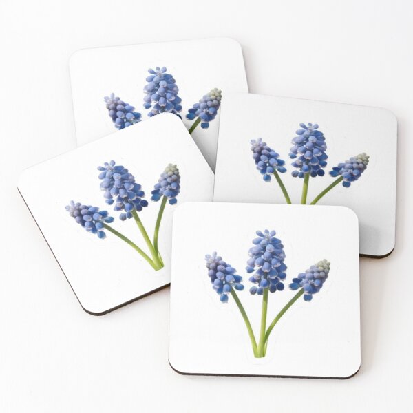 Item preview, Blue Grape Hyacinth Flower designed and sold by deisgnsbyshane.