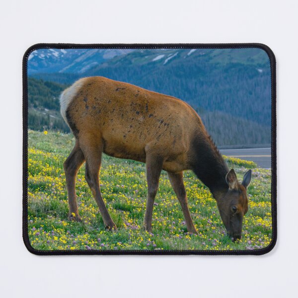 Item preview, Elk in Rocky Mountains designed and sold by BeeLightPhotos.