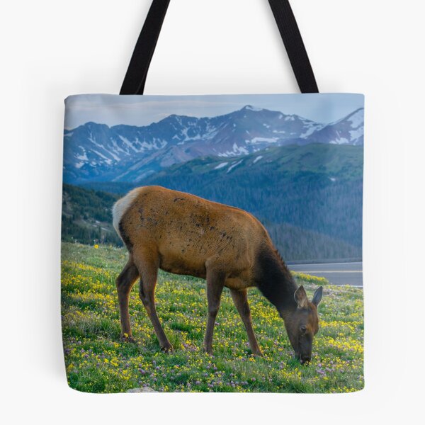 Item preview, Elk in Rocky Mountains designed and sold by BeeLightPhotos.