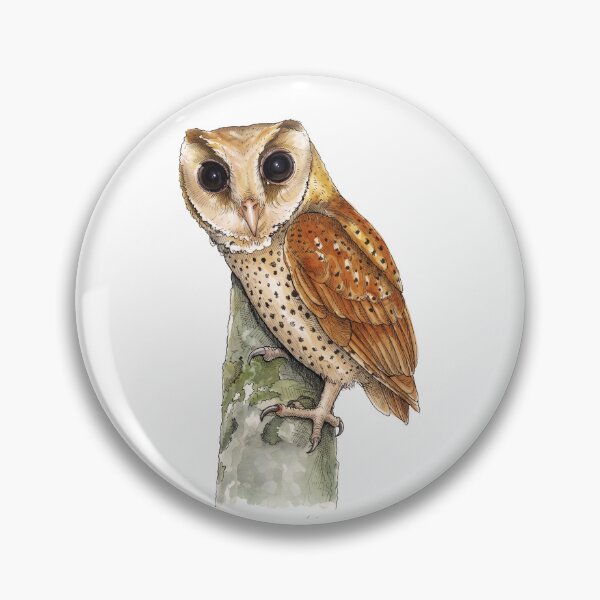 Item preview,  Naturalist's watercolor sketchbook illustration of an Oriental Bay Owl designed and sold by wonderisland.