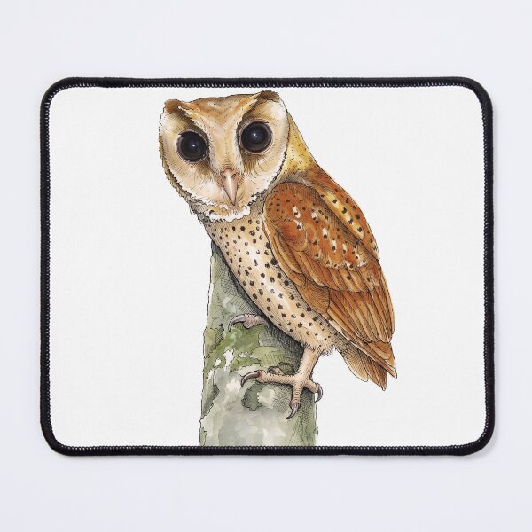 Item preview, Naturalist's watercolor sketchbook illustration of an Oriental Bay Owl designed and sold by wonderisland.