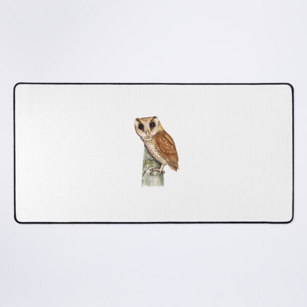 Item preview, Naturalist's watercolor sketchbook illustration of an Oriental Bay Owl designed and sold by wonderisland.