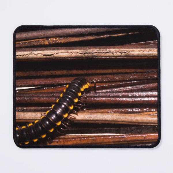 Item preview, flat-backed millipede designed and sold by ROSE ANN BANILAR.