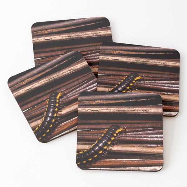 Item preview, flat-backed millipede designed and sold by ROSE ANN BANILAR.