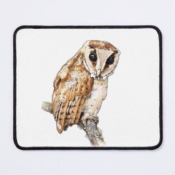 Item preview, illustration of an Oriental Bay Owl, book-plate designed and sold by wonderisland.