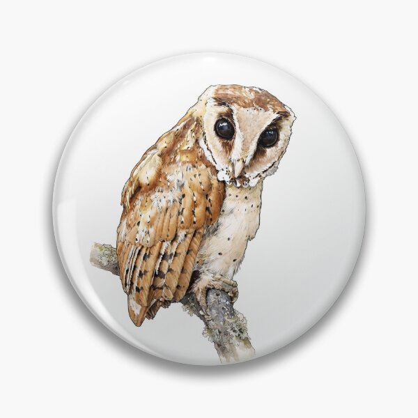 Item preview, illustration of an Oriental Bay Owl, book-plate designed and sold by wonderisland.